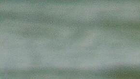 A shark swims in Mediterranean Sea as Israeli police are looking area for a swimmer who they fear was attacked by a shark on Monday, near the Israeli city of Hadera, Tuesday, April 22, 2025. (AP Photo/Ariel Schalit)