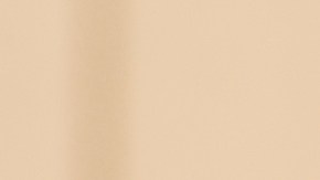 Reno police officers search through the parking lot during a standoff following a shooting at a Reno Walmart Friday, Oct. 29, 2010. The shooter, a Walmart employee, has been identified as John Dennis Gillane, 45-years of age. One of the three shooting victims was a store manager . (AP Photo/Scott Sady)