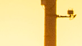 In this Monday, Oct. 18, 2021, photo a trucker transports a container out of the Maersk APM Terminals Pacific, Pier 400 at the Port of Los Angeles. APM Terminals Los Angeles is the largest container port terminal in the Western Hemisphere, featuring over 507 acres of world-class infrastructure. California Gov, Gavin Newsom on Wednesday, Oct. 20, 2021 issued an order that aims to ease bottlenecks at the ports of Los Angeles and Long Beach that have spilled over into neighborhoods where cargo trucks are clogging residential streets. (AP Photo/Damian Dovarganes)