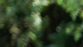 ¡Vitalidad y vida sana! El secreto de llegar a la longevidad en pleno y bailando zumba