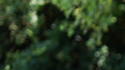 ¡Vitalidad y vida sana! El secreto de llegar a la longevidad en pleno y bailando zumba