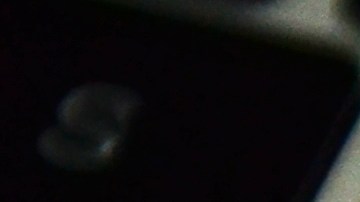 Walmart, fechas del Black Friday y Cyber Monday