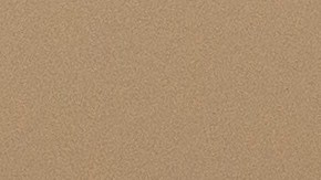 A mobile home community devastated by the Palisades Fire is seen in the Pacific Palisades neighborhood of Los Angeles, Thursday, Jan. 9, 2025. (AP Photo/Jae C. Hong)