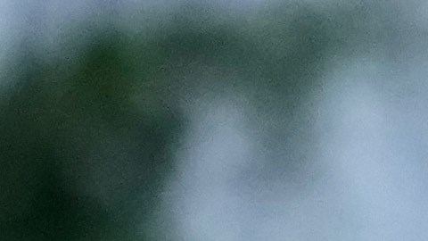 Varios alumnos afirman haber visto vehículos de ICE en sus barrios, lo que les ha provocado miedo.