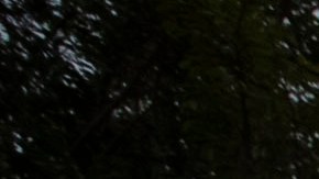 Analistas externos señalan que este ritmo plantearía unas 1,886 deportaciones por día.