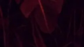 Bad Bunny terminó recientemente una residencia de 31 conciertos en Puerto Rico.