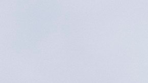 La investigación está dirigida contra el supuesto fraude de la fundación Black Lives Matter.