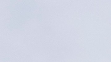 La investigación está dirigida contra el supuesto fraude de la fundación Black Lives Matter.