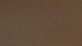 Boletas de muestra de las elecciones especiales de California de 2025.