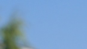 El reporte también señaló una subida interanual récord en 2024 del 5.5% de la fuerza laboral de origen latino.