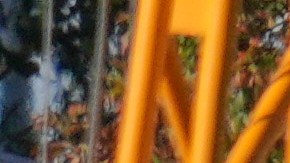 Una excavadora mecánica arrasó la fachada del ala este de la Casa Blanca.