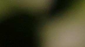 “El Big Beautiful Bill es más que una ley; es una inversión patriótica en cada bebé que nace en suelo estadounidense", dijo Trump.