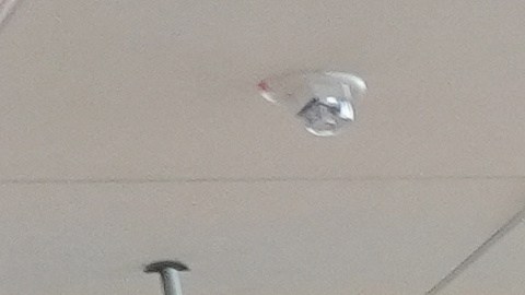 Un cierre de gobierno no afecta a los aeropuertos ni a las aerolíneas, pero aún así podría retrasar a los viajeros.