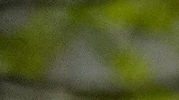 Maria Corina Machado