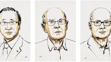 Qué son las revolucionarias "estructuras metalorgánicas" por las que 3 científicos ganaron el Nobel de Química y cómo pueden ayudar a combatir el cambio climático