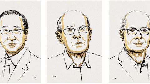 Qué son las revolucionarias "estructuras metalorgánicas" por las que 3 científicos ganaron el Nobel de Química y cómo pueden ayudar a combatir el cambio climático