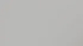 La mujer enfrenta dos cargos de intento de asesinato y uno por interferencia con un oficial.