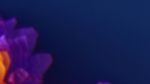 Cada producto para el Día de Muertos debes seleccionarlo cuidadosamente, ya que es una guía para las almas que "regresan" para el reencuentro familiar.