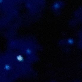 Trump está realizando una gira por varios países de Asia.