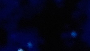 Trump está realizando una gira por varios países de Asia.