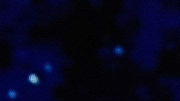 Trump está realizando una gira por varios países de Asia.