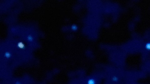 Trump está realizando una gira por varios países de Asia.