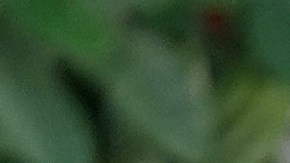 Trump solicitó $230 millones al Departamento de Justicia para resolver las investigaciones anteriores sobre él.