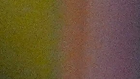 Trump reconoció la respuesta de Hamás y exhortó a Israel a realizar un cese al fuego.