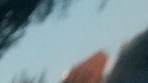 Trump insiste que EE.UU. está en “conflicto armado” con los cárteles de la droga.