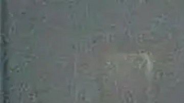 De ser declarado culpable, el joven podría enfrentar hasta 30 años de prisión y una multa de $10,000 dólares.