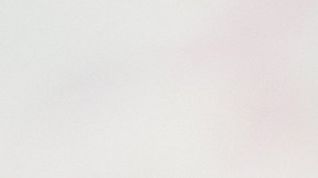 Según la ley aprobada, la eutanasia en Uruguay será practicada únicamente por profesionales de la salud, lo que prohíbe el suicidio asistido.