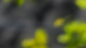 De acuerdo con cifras de ICE, más de 1,500 inmigrantes han sido arrestados en Estados Unidos desde el mes pasado.