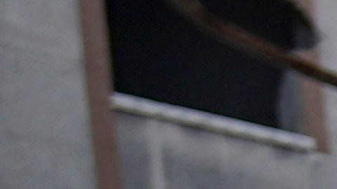 Advierten que servicios de salud de Gaza han sido "hechos añicos" después de dos años de conflicto y se encuentran "al borde del colapso total".