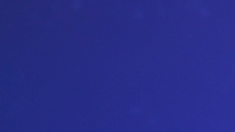 Las personas de estos signos pueden hacerse los desaparecidos en Halloween.