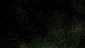 La última vez que se aplicó la Ley de insurrección fue durante los disturbios de Los Ángeles de 1992.