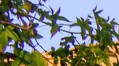 Si tienes planes de hacer actividades después del atardecer, como fiestas de disfraces o recorridos de “truco o trato”, el entorno se prestará bien.