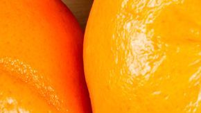 Noviembre es el mes del Cerdo para la astrología china.