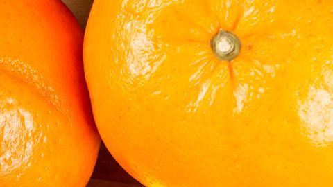 Noviembre es el mes del Cerdo para la astrología china.