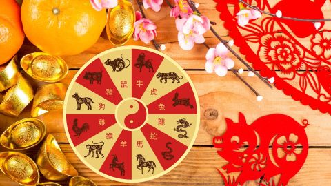 Noviembre es el mes del Cerdo para la astrología china.