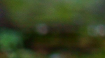 En el amor, los signos chinos tienen un karma.