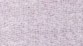 De los 12 signos del zodiaco chino, 5 serán los más vulnerables en noviembre.