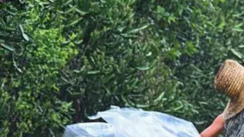 Miles de personas han sido evacuadas en Cuba ante la llegada de Melissa.