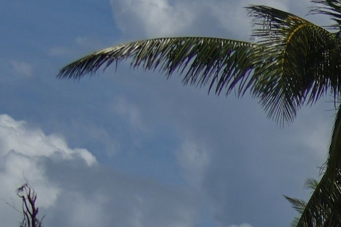 Una mujer camina con su perro entre las ruinas de las casas destruidas por el huracán Melissa en Boca de Dos Ríos, Cuba.