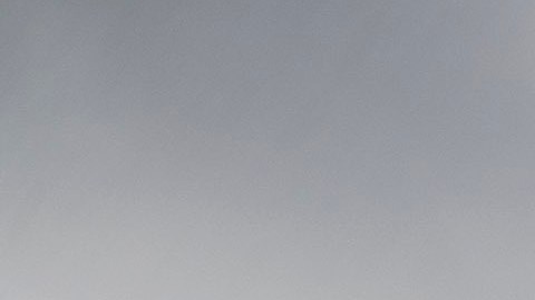 Agentes de ICE los detuvieron el 28 de septiembre en la entrada de la base militar Camp Pendleton.