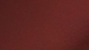 El pasado 5 de agosto, el inmigrante mexicano había sido detenido durante un control de tránsito en las afueras de Detroit.