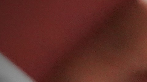 El pasado 5 de agosto, el inmigrante mexicano había sido detenido durante un control de tránsito en las afueras de Detroit.