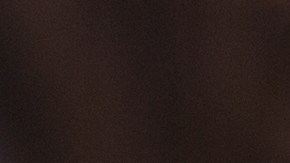 Precios históricos en la carne: ¿la importación de Argentina es la solución?