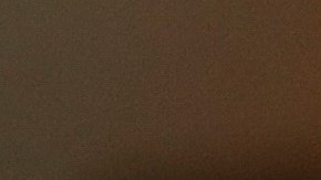 El hongo Fusarium graminearum causa el "tizón de la espiga" en los cereales, una enfermedad fúngica que causa graves daños a los cultivos y riesgos para la salud.