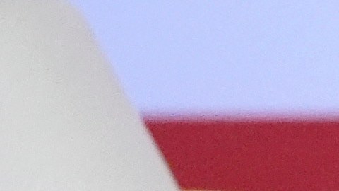 Seguidores de Trump en un evento de campaña realizado en Tucson, Arizona, el 12 de septiembre de 2024.