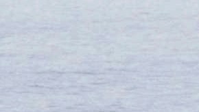 Situación podría provocar más de 14 millones de muertes adicionales en los próximos cinco años.